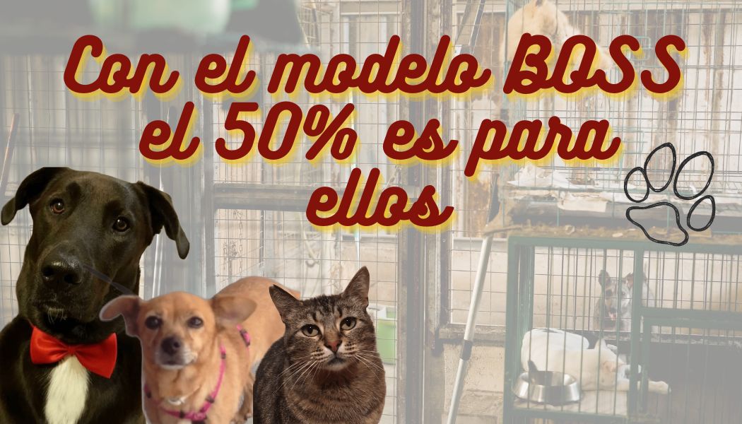 Con el modelo Boss, el 50 % es para refugios de animales